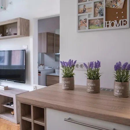 Sweet Apartamento Belgrado